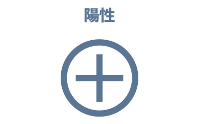 图示显示阳性试验