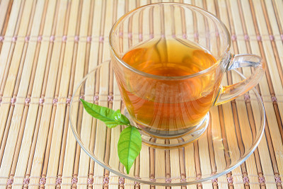 茶与竹