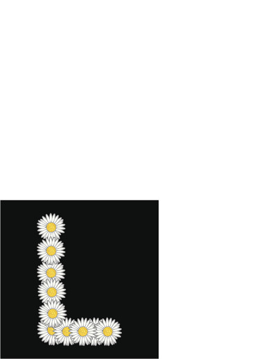 雏菊花的信