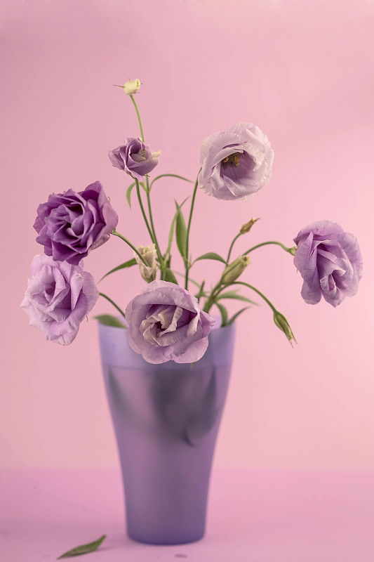 玻璃花瓶中一束紫罗兰花