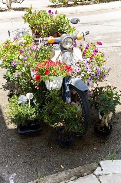 花的自行车