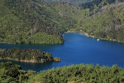 莫尔伯勒声音的风景，奥纳哈湾
