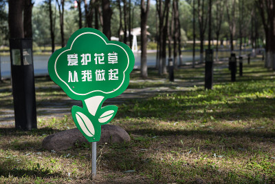 公园里的绿地