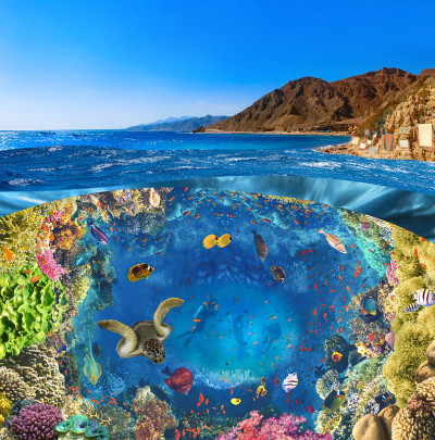 潜水员在水下峡谷