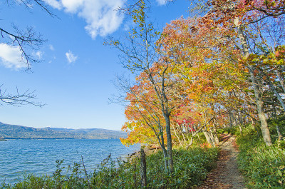 秋日的赤岸湖，日本北海道