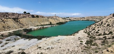 阿利坎特的Rabasa Lagoons