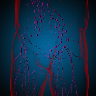 人体淋巴结解剖用于医学概念3D渲染