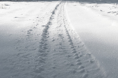 雪地足迹