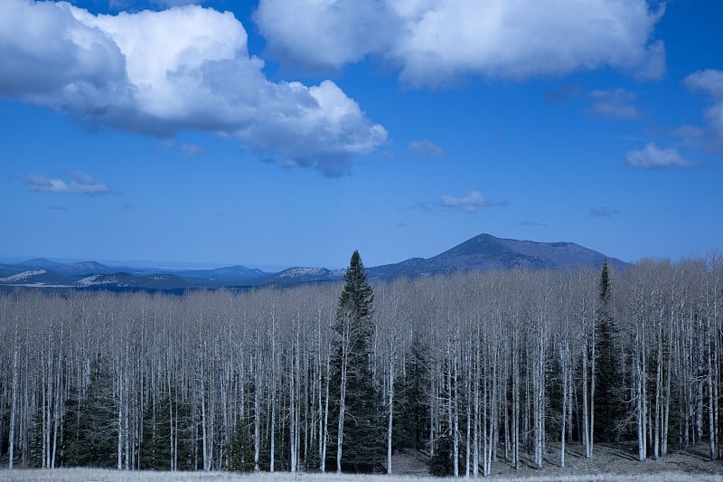 亚利桑那州白杨树，山脉和山谷