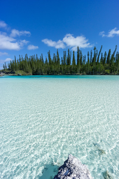 新喀里多尼亚松树岛奥罗湾天然游泳池的美丽海景