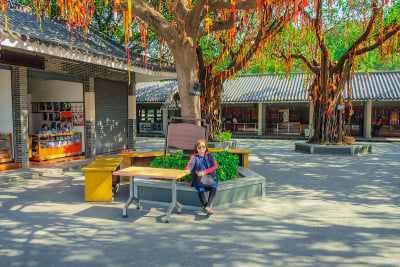资深亚洲女游客坐在崇拜树下，在中国佛山市西桥山