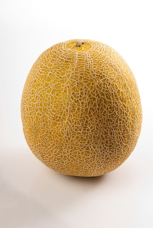 瓜蜂蜜