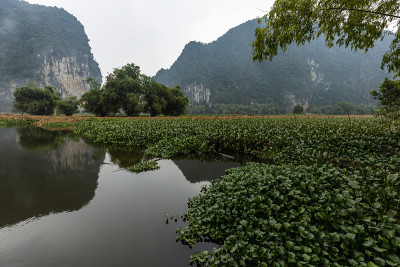 越南宁平和Tam Coc的风景