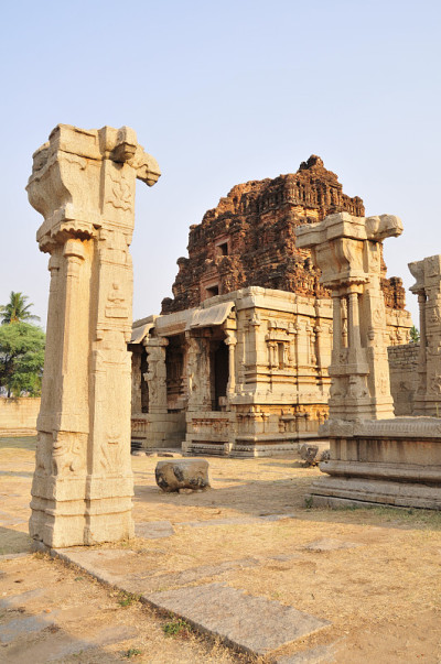 Achyuta植物园，Hampi,Karnataka，印度。