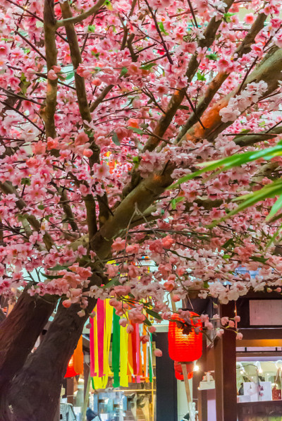 七夕节。
