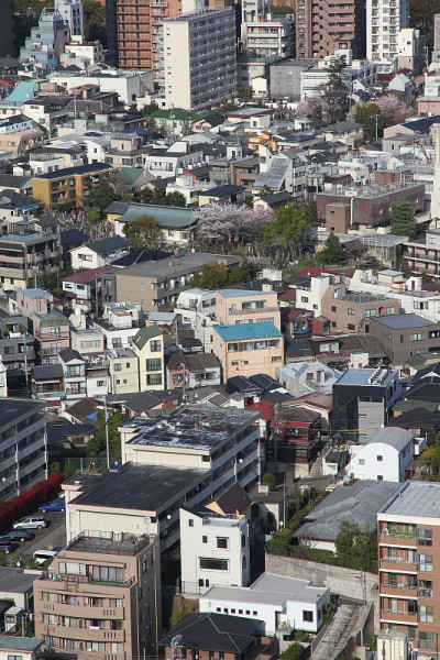 东京城市
