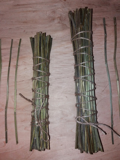 干蓍茎易经占卜