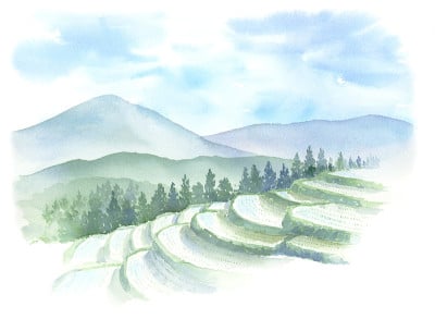 水彩梯田插图。