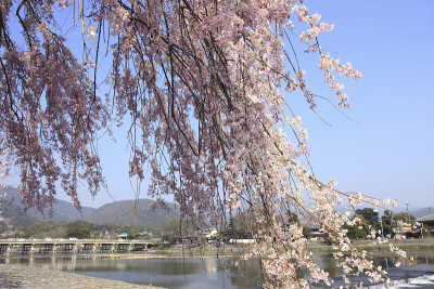 岚山的春天