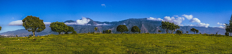 加拉加斯的全景