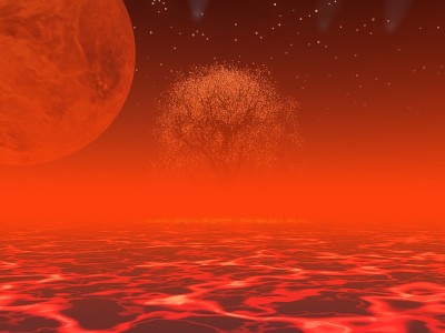 神奇的树木和星球景观