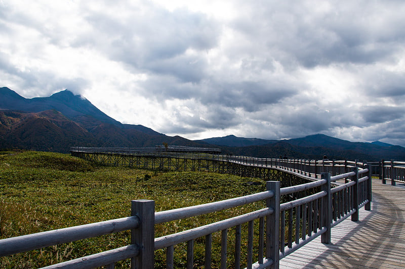 荒野和知床山秋叶在秋天的早晨，知床，北海道，日本