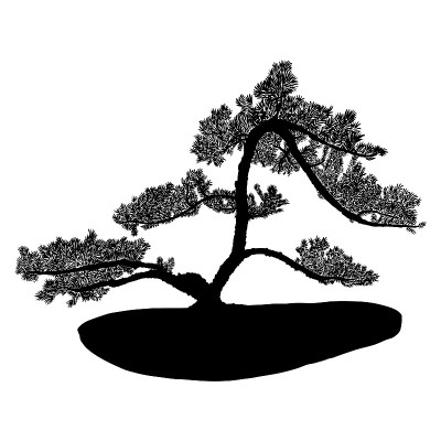 盆景日本树木剪影生长在花盆和容器。从真实的树。盆景风格装饰小树，爱好。向量。