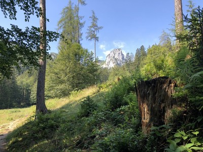 近Ruhpolding