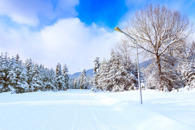 班斯科滑雪场和雪树，保加利亚