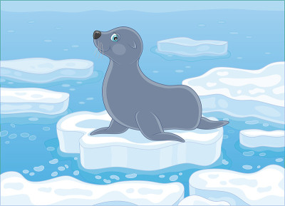 海豹在浮冰上