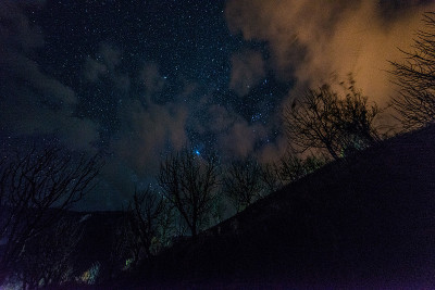 令人惊叹的喜马拉雅山的夜空和树木