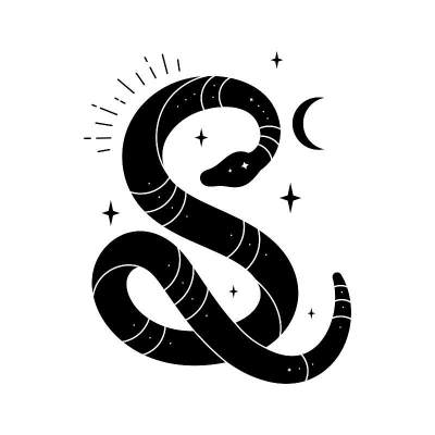 向量黑蛇与神秘的魔法物体