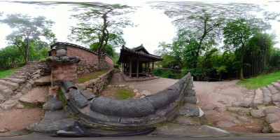 雨后竹林360度全景