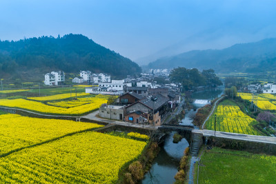 江西婺源红关村云雾古村油菜花春花