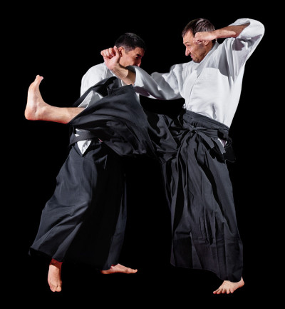 武术战士孤立