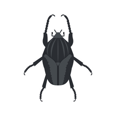 Goliath beetle icon in flat style, african animal 
