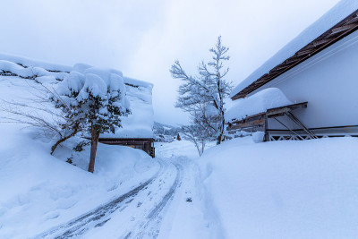 白川走下了大雪