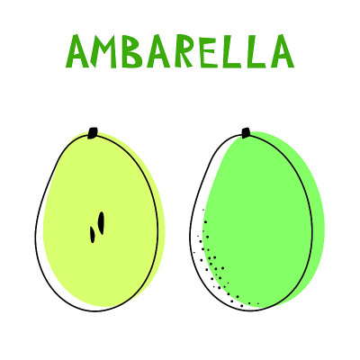 Set of two isolated ambarellas.
