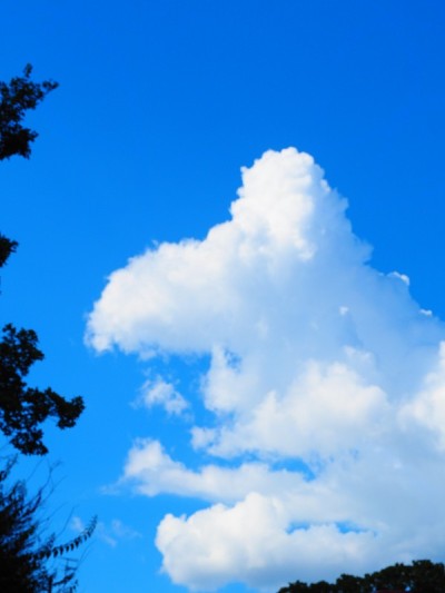 天空