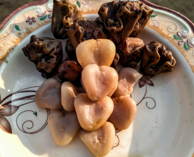 去皮水蒺藜。