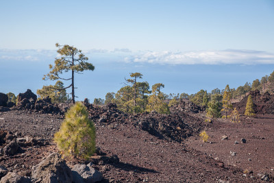 泰德特内里费加那利岛火山景观
