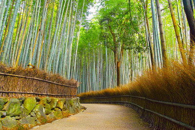 京都竹林路