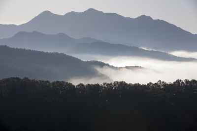雾，山