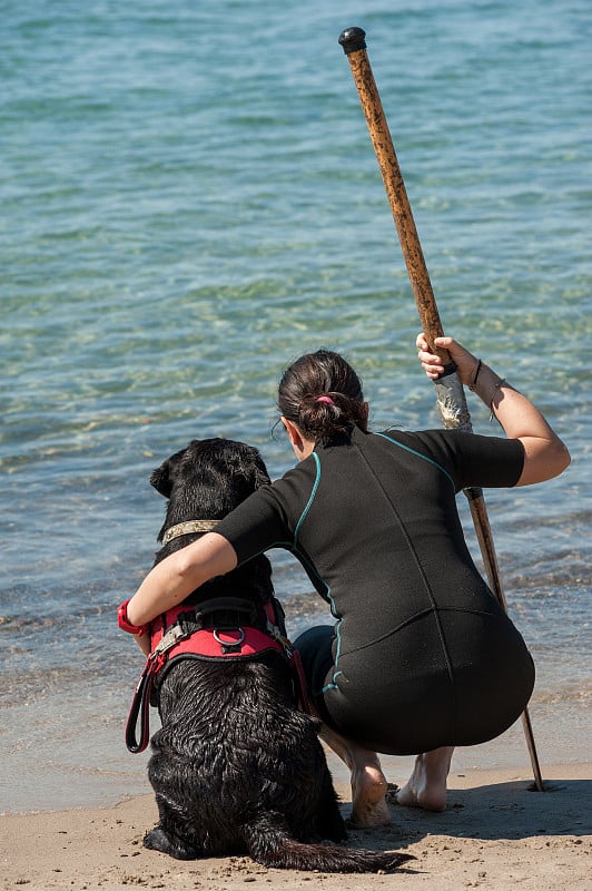 海滩上的救生犬和教练。