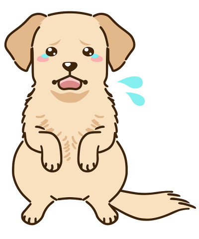 受惊的拉布拉多寻回犬(黄色)