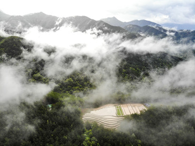 越南北部平寮地区漂亮的水稻梯田