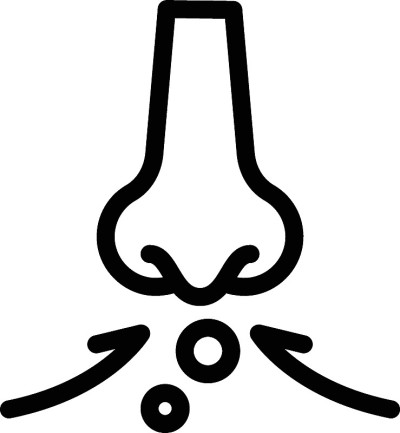 鼻子
