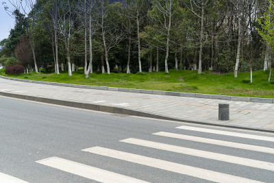 户外道路上的斑马线