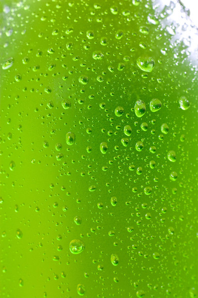 湿瓶