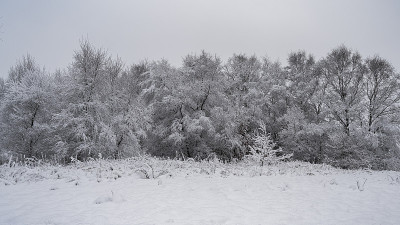 英国斯塔福德郡的乡村冬季雪景。